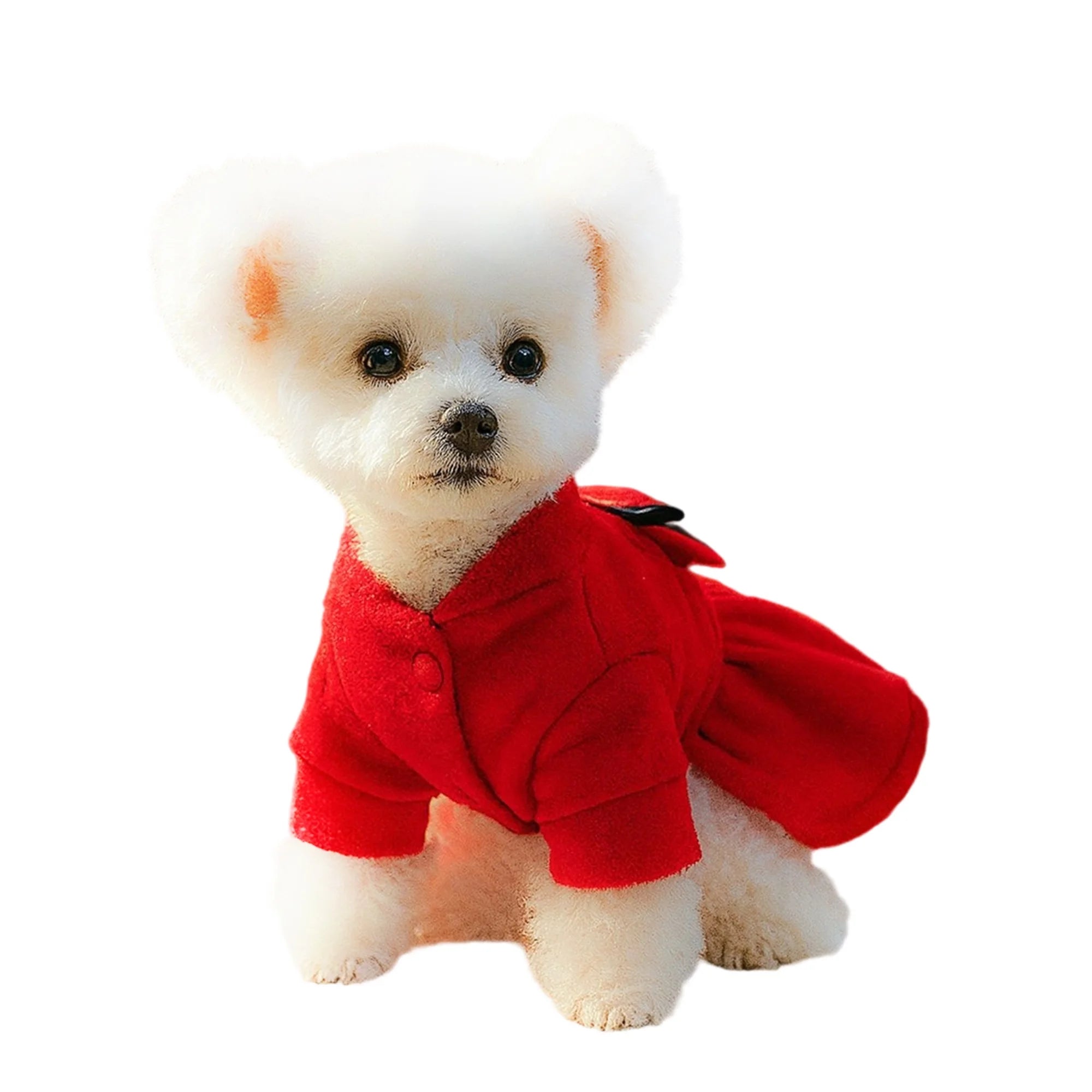 Christmas Dog Costume with Santa Hat and Jingle Bells