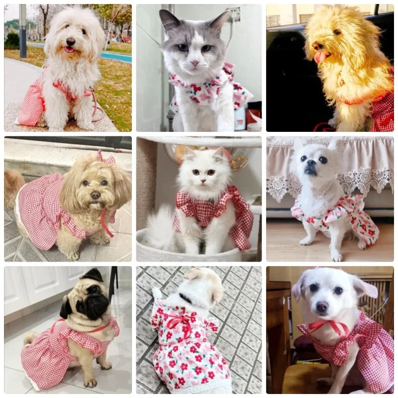 Sweet Princess Style Dog Dresses Bowknot Dog Skirt